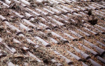 Benton roof cleaning companies